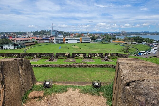 Galle Day Tour with River Safari, Tea Plantation & Sea Turtle - Tea plantation & factory: turning scenery into a process