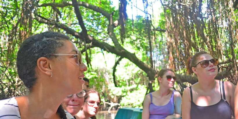 Galle Day Trip with River Safari, Sea Turtles & Tea Factory - Key highlights you’ll feel right away