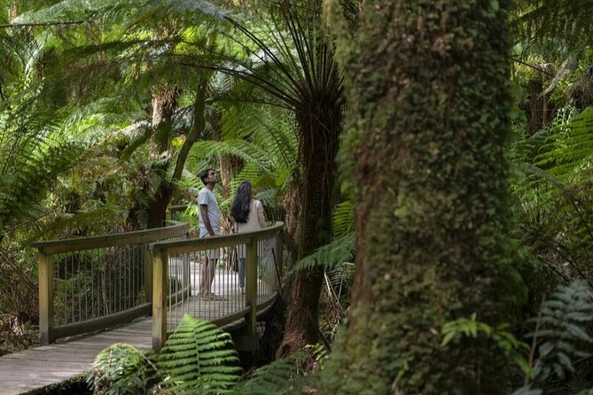 Great Ocean Road, 12 Apostles, Rainforest & Morning Tea-Melbourne - Melbourne morning start: getting moving at 7:35am