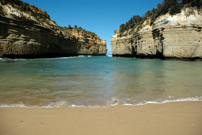 Great Ocean Road Tour Plus Koalas, Forest Walk and Morning Tea - Riding the Great Ocean Road: what a 13-hour day really feels like