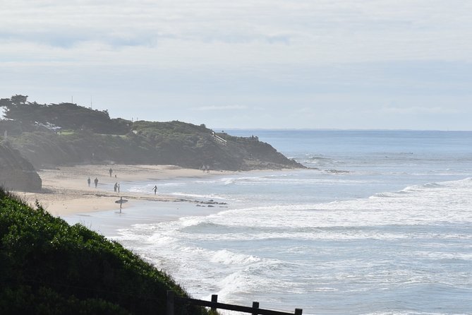 Great Ocean Road Tour Plus Koalas, Forest Walk and Morning Tea - The 12 Apostles zone: Gibsons Steps, Razorback, and Island Arch