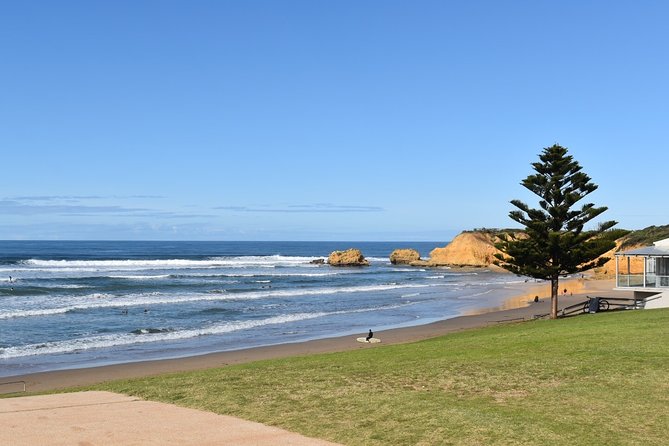 Great Ocean Road Tour Plus Koalas, Forest Walk and Morning Tea - Price and meals: value at €82.29, plus what you must plan for