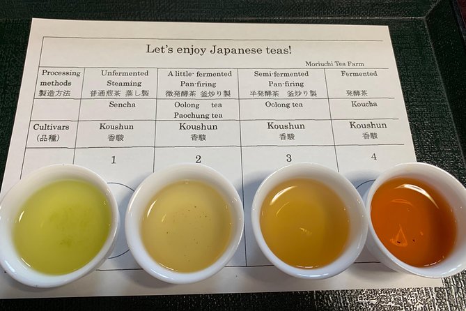 Guided Bike Tour to a Green Tea Farm in Shizuoka (not e-bikes) - Key things I’d focus on before you go