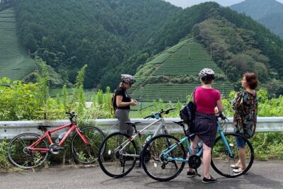 Guided Bike Tour to a Green Tea Farm in Shizuoka (not e-bikes) - Getting to the start: JR Shizuoka Station and the bike setup