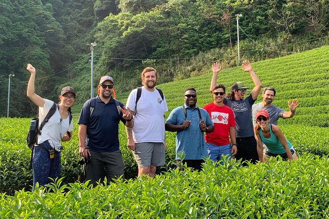 Guided Bike Tour to a Green Tea Farm in Shizuoka (not e-bikes) - Shizuoka Sengen Shrine or Sumpu Castle Park on the way back