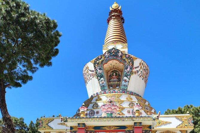 Guided Day Tour to Bir – Monasteries,Temple & Tea Garden Visit - DGL Nunnery: a human, grounded spiritual stop