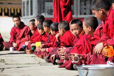 Guided Tour to Palampur-Monasteries, Temple & Tea Gardens visit - The Palampur Co-operative Tea Factory: where the day turns into tea country