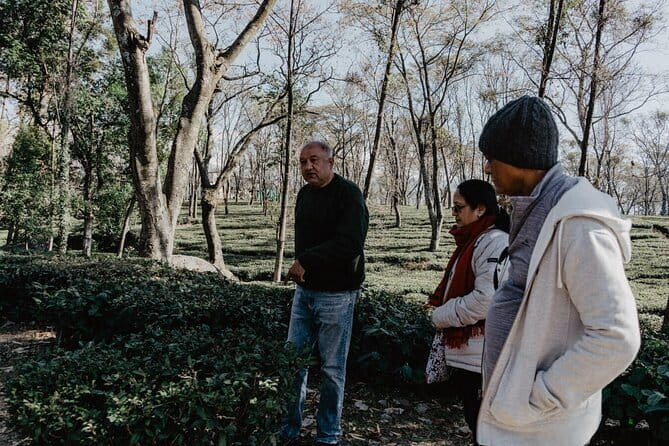 Guided Tour to Palampur-Monasteries, Temple & Tea Gardens visit - McLeodganj market time and the Dalai Lama temple area