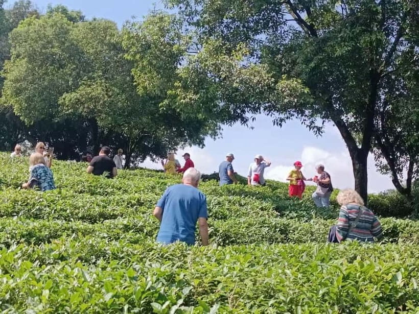 Guilin: City Tour with Elephant Hill & Ming Tea Tasting - How the Private Car and Flexible Pace Changes the Day