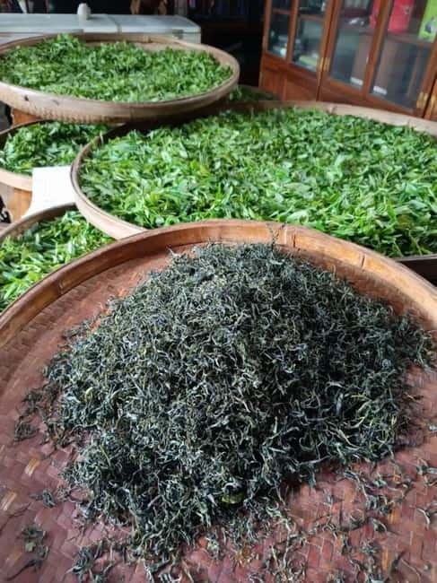 Guilin: City Tour with Elephant Hill & Ming Tea Tasting - Green Tea Tasting: Where the Experience Gets Personal