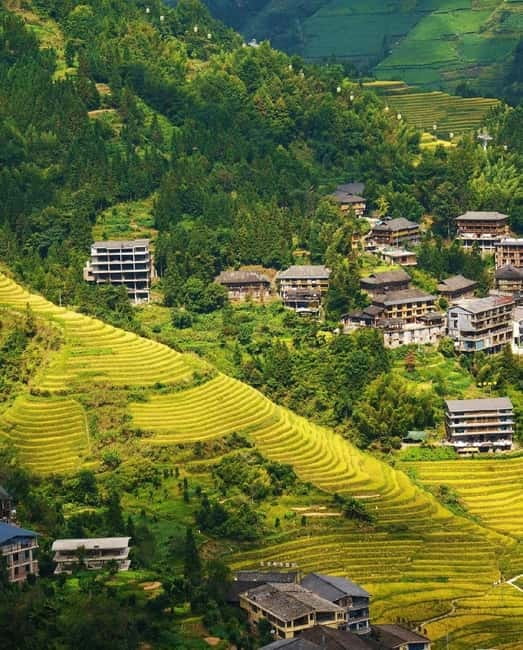 Guilin Longji: Rice Terrace with Oil-Tea Demo & Zhuang Lunch - Rice terraces and Zhuang culture: what this day trip really delivers