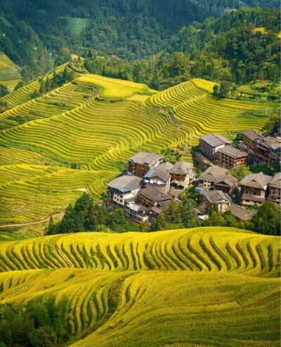 Guilin Longji: Rice Terrace with Oil-Tea Demo & Zhuang Lunch - The Guilin to Longsheng drive: your first taste of the terrain