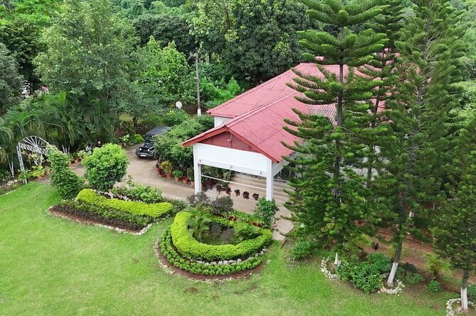 Guwahati Tea Garden tour @ Amchong - A Short Trip From Guwahati to Amchong Tea Estate