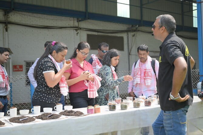 Guwahati Tea Garden tour @ Amchong - Bhuaram Jodhraj Factory Tour: From Leaf to Orthodox and CTC Tea