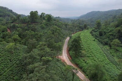 Guwahati Tea Garden tour @ Amchong - Nursery, Plucking, and Tea Tasting: The Farm Side of Assam Tea