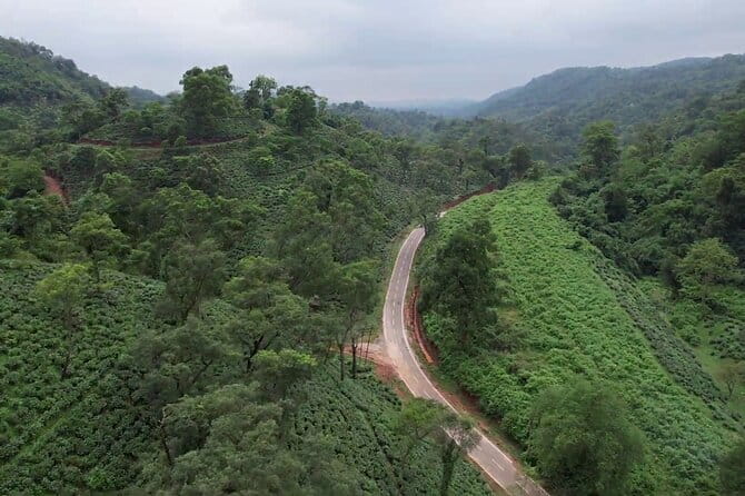 Guwahati Tea Garden tour @ Amchong - Nursery, Plucking, and Tea Tasting: The Farm Side of Assam Tea