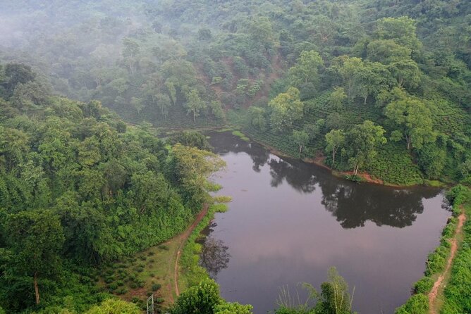 Guwahati Tea Garden Tour with Lunch & Hi Tea (Premium Experience) - Arrival at Amchong Park & Resorts: Welcome, Tea Break, and a Real Estate Walk