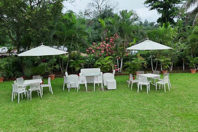 Guwahati Tea Garden Tour with Lunch & Hi Tea (Premium Experience) - Organic Lunch on the Estate: Assamese Flavors You Can Actually Identify