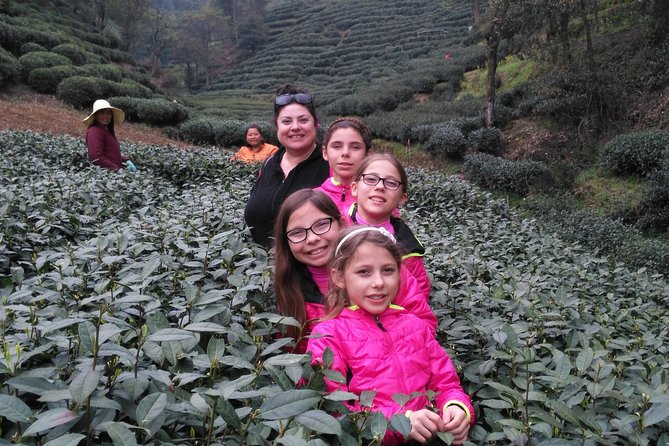 Half-Day Hangzhou Private Tour with Green Tea Village and Lingyin Temple - Feilai Peak grottoes: the 300+ Buddha stone cliffs