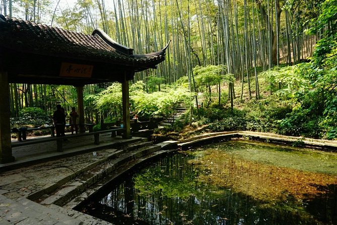 Half-Day Hangzhou Yunxi Bamboo Forest and Tea Plantation Experience - Key highlights to focus on