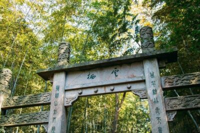 Half-Day Hangzhou Yunxi Bamboo Forest and Tea Plantation Experience - Stop 1: Yunxi Zhujing Scenic Resort and the bamboo forest walk