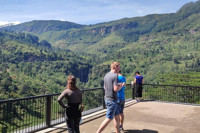 Half-Day Private Trip to Waterfalls and Tea Factory - Waterfalls: getting close without losing your day