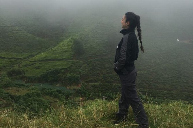 Half-Day Private Trip to Waterfalls and Tea Factory - Who this tour is best for