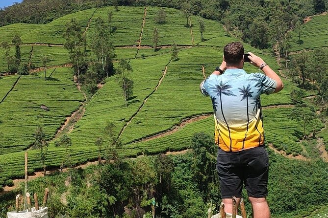 Half-Day Private Trip to Waterfalls and Tea Factory - Price and value: why $25 can work here