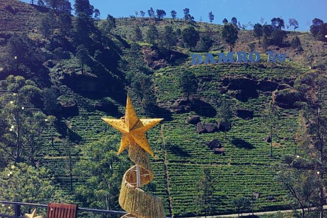Half-Day Private Trip to Waterfalls and Tea Factory - Damro Labookellie Tea Centre: factory tour plus a cup with a view