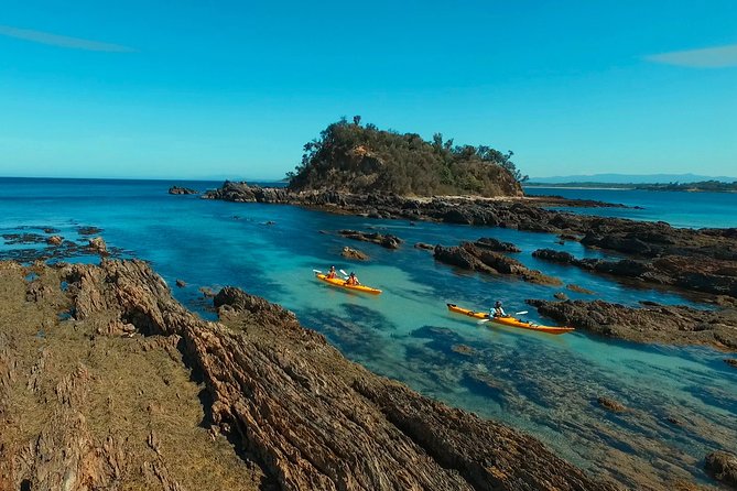 Half Day Sea Kayak Tour from Batemans Bay with Morning Tea - Offshore Paddling From Batemans Bay: What You’re Really Signing Up For