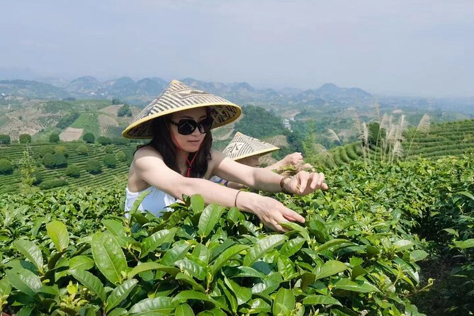 Half-day Tour: Largest Tea Plantation & Amazing Xianggong Hill - Xianggong Hill Walk: Views Over the Li River Valley