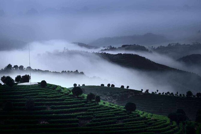 Half-day Tour: Largest Tea Plantation & Amazing Xianggong Hill - Seven Fairies Peak Tea Plantation: Reed Hats, Tea Leaves, and Real Tea Time