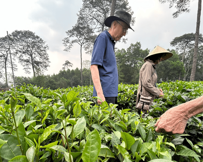 Hanoi Eco Tour: Ba Vi National Park Wonders & Tea Plantation - Who Should Book This Tour (and Who Might Want Another Option)