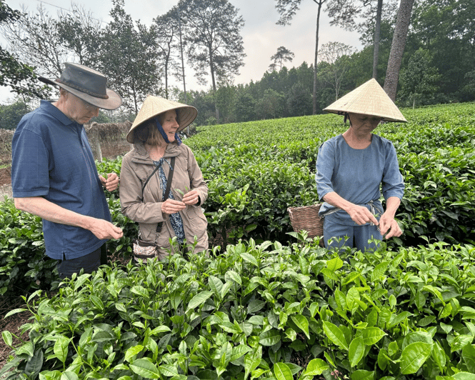 Hanoi Eco Tour: Ba Vi National Park Wonders & Tea Plantation - Lunch With Mountain Specialties Inside the Park Area