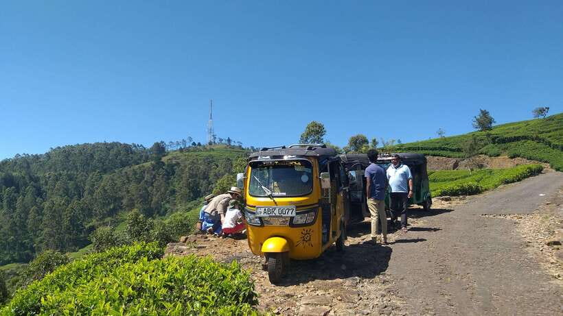 Haputale:Glorious Tuk Tuk Ride to Lipton'sSeat & Tea Factory - Price and Value: What $35 Buys in Real Time