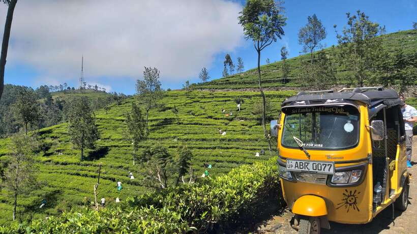 Haputale:Glorious Tuk Tuk Ride to Lipton'sSeat & Tea Factory - What Your Day Feels Like: Timing, Walking, and Weather