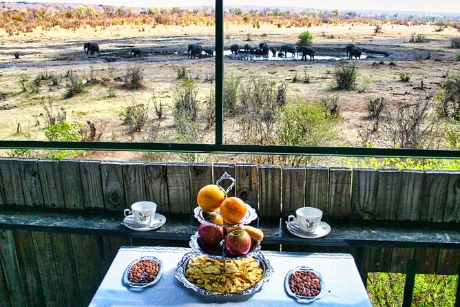 High Tea in the Savannah, Catering by Victoria Falls Hotel - Key things to know before you go