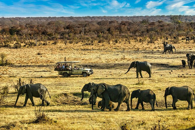 High Tea in the Savannah, Catering by Victoria Falls Hotel - Price and value: is $165 really worth it?