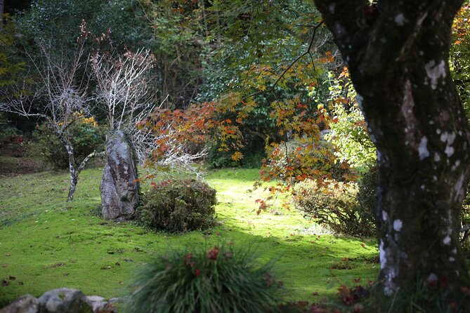 Home Experience: Tea Ceremony & Moss Garden Walk(Day trip) - Who this day trip fits best