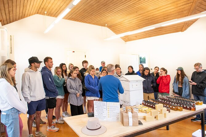 Honey Farm Tour. Morning Tea. Guided Tasting - Guided honey tasting on the terrace: 6 floral honeys with big differences