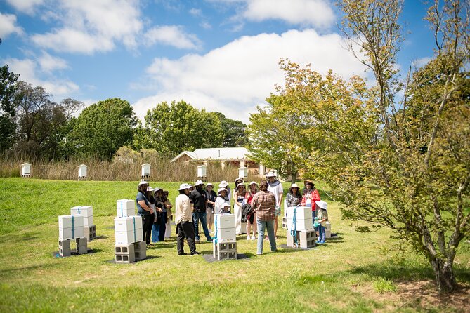 Honey Farm Tour. Morning Tea. Guided Tasting - Morning tea pairings: sourdough, leaf tea, and plunger coffee
