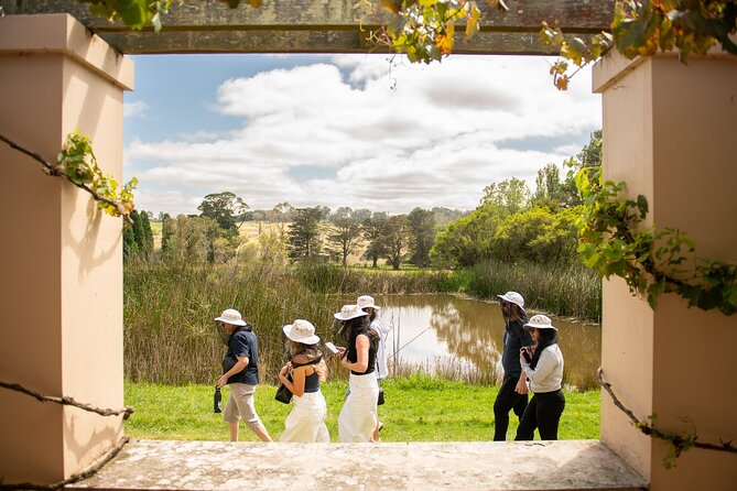 Honey Farm Tour. Morning Tea. Guided Tasting - What to bring and what to expect on the day