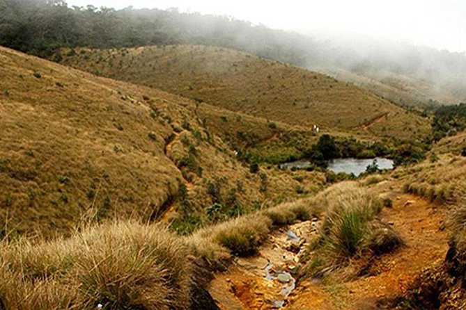 Horton Plains-World's End Tour and Tea Factory Tour From Nuwaraeliya - Key Highlights You’ll Care About