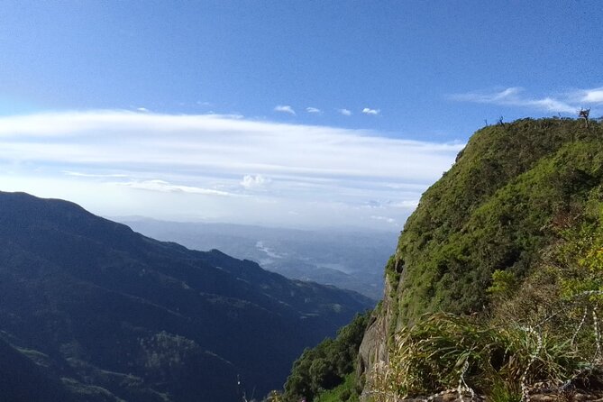 Horton Plains-World's End Tour and Tea Factory Tour From Nuwaraeliya - Pickup in Nuwara Eliya and what “private” really changes