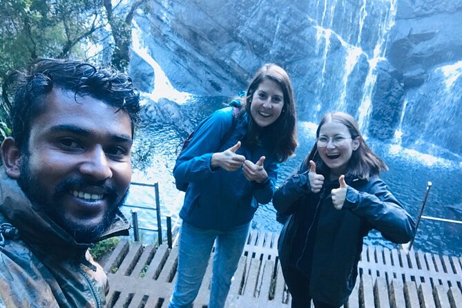 Horton Plains-World's End Tour and Tea Factory Tour From Nuwaraeliya - Ticket costs and real value: how the $50 price adds up