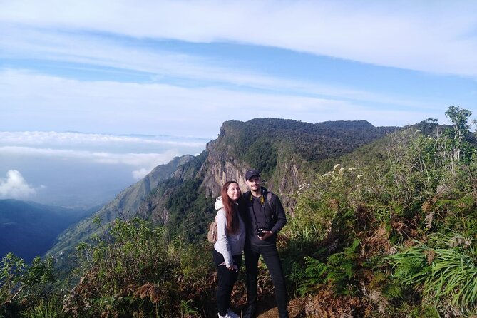 Horton Plains-World's End Tour and Tea Factory Tour From Nuwaraeliya - Damro Labookellie Tea Centre: what you’ll actually see at 5,000 feet