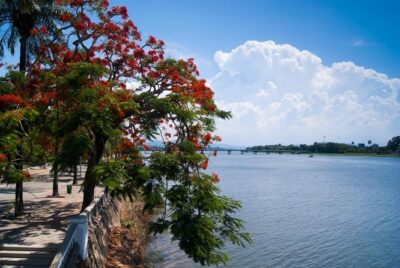 Huong River Afternoon Tea Cruise Tour Along Hue City - Afternoon Tea on the Water: Snack, Sip, Repeat