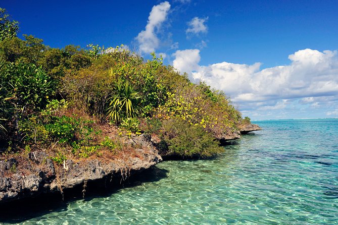 Ile aux Aigrettes - Tea Route - Gris Gris Private Guided Tour (Min. 2 persons) - Key highlights to look for