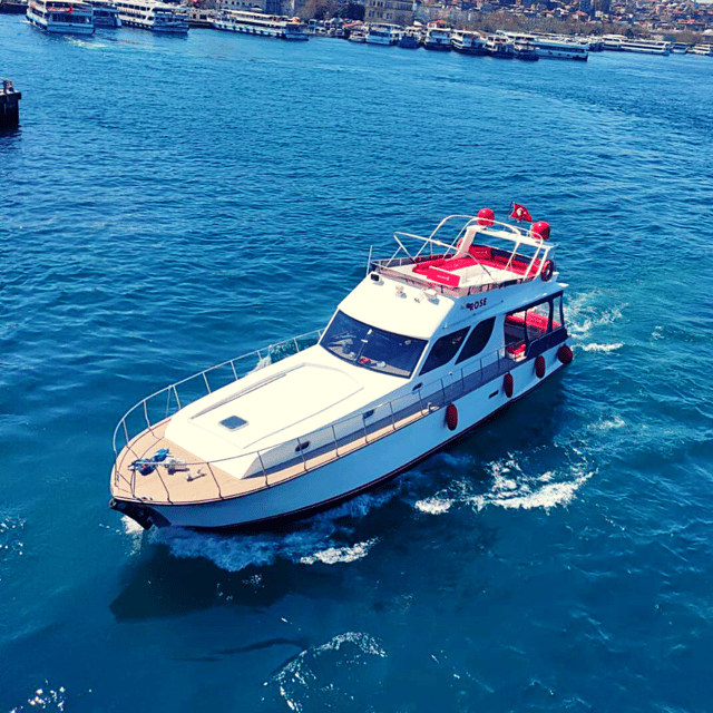 İstanbul: Bosphorus Private Yacht Cruise with Tea and Coffee - Tea, Coffee, and Bringing Your Own Food: Make It a Real Group Moment