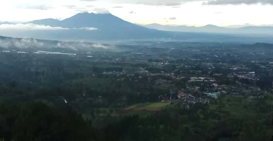 Jakarta: Paragliding on Top Mountain & Tea Plantation - Quick hits you’ll feel on the day
